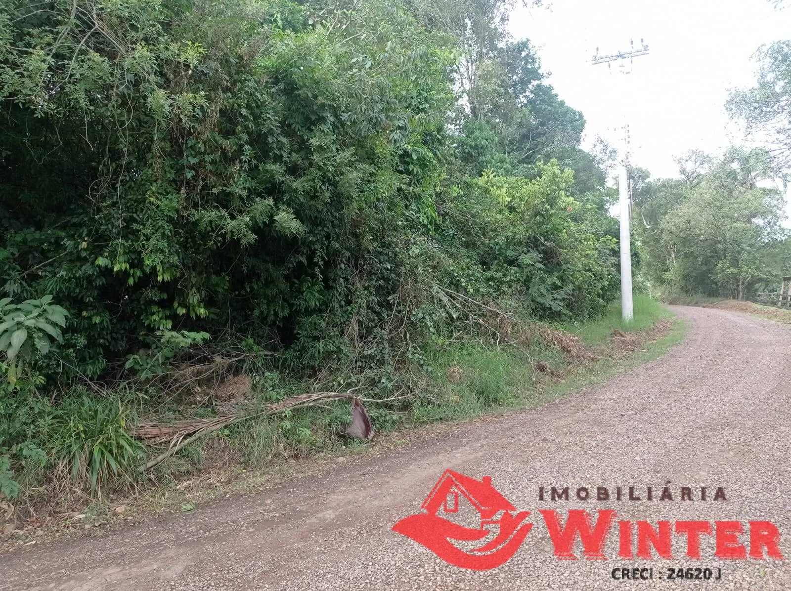 Imagem Área de terras plana com 2.399,00m² em Canto Krindges, Feliz.
