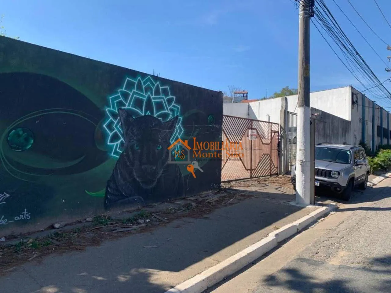 Imagem Terreno à venda, 778 m² por R$ 3.700.000,00 - Jardim Nossa Senhora do Carmo - São Paulo/SP