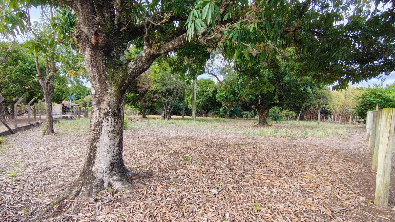 Imagem Chácara com 8925,30m² de Terreno, Casa de 204m², Barracão e Poço Caipira