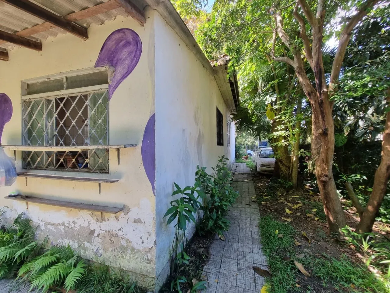 Imagem Terreno Plano 435m² Ipanema Proximo Guaíba