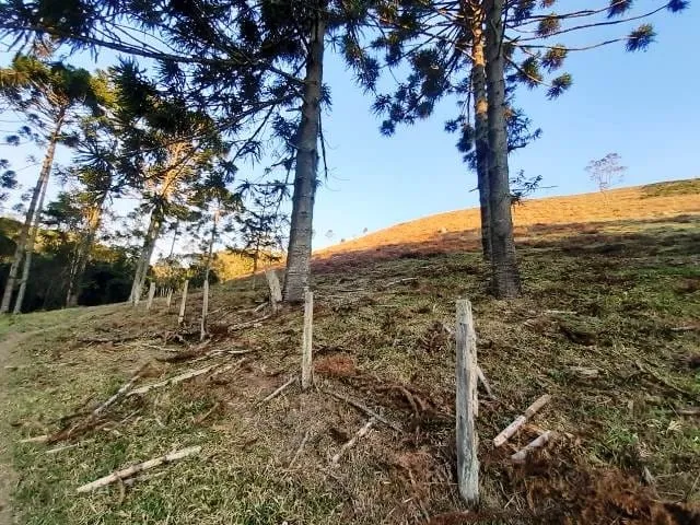 Imagem Chácara à venda 170000M², Paraibuna, Cunha - SP