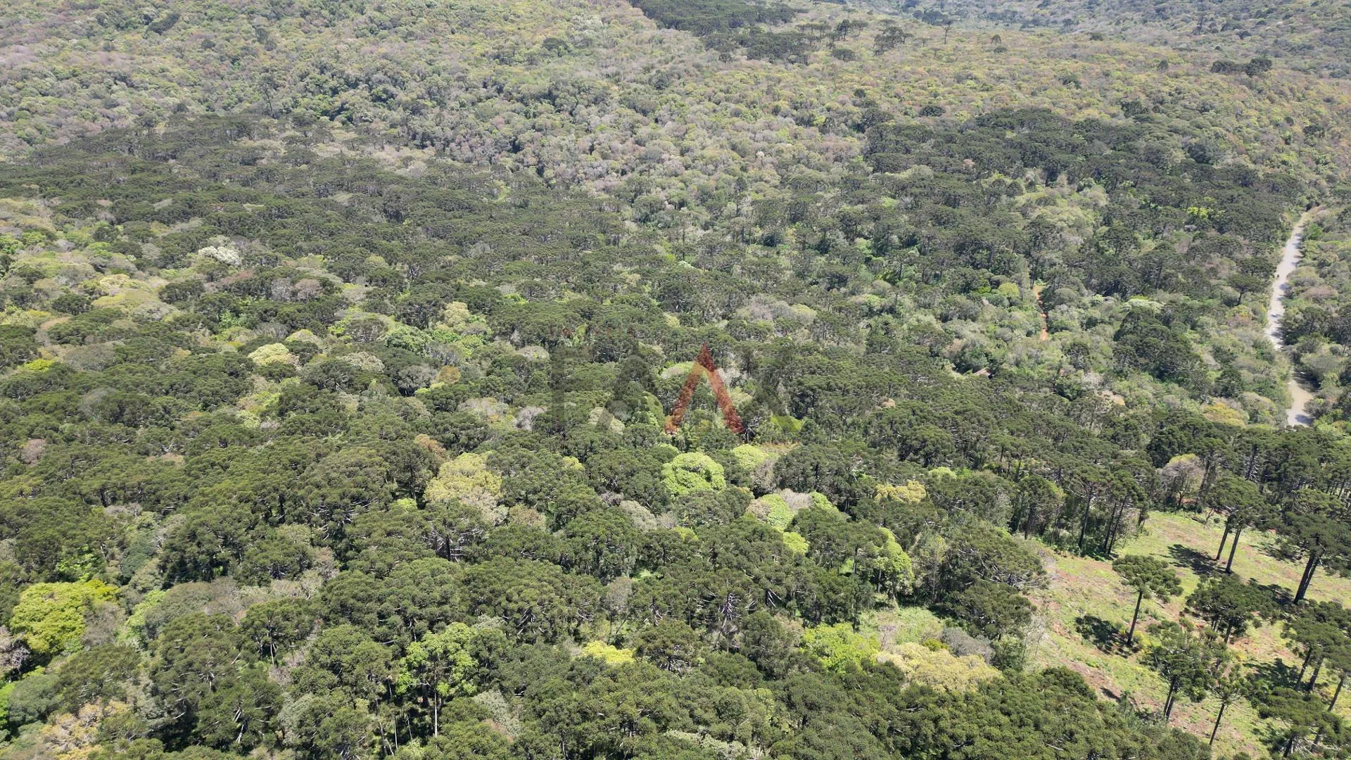 Imagem CHACARA A VENDA NO DISTRITO DO GUAIRACA, GUARAPUAVA - PR