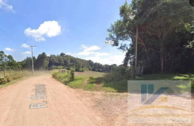Imagem Terreno para Venda em São José dos Pinhais, Campestre da Faxina