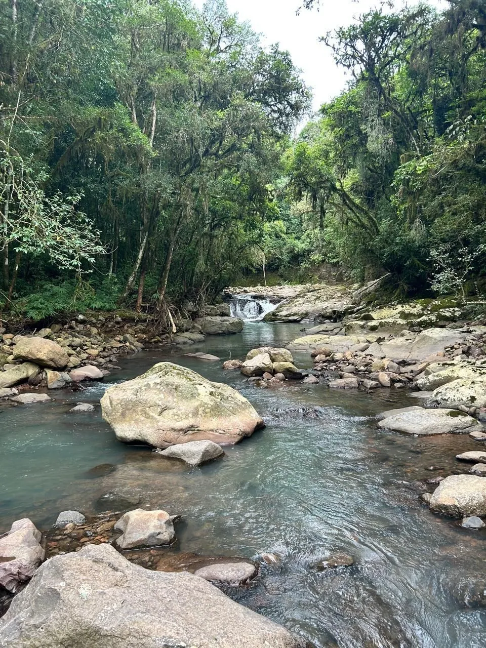 Imagem Chácara à venda em Caxias do Sul, Santa Lúcia do Piaí, 103471.89m2