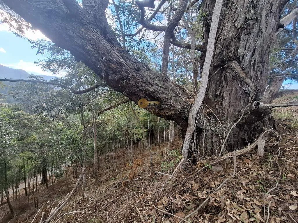 Imagem Terreno em Condomínio para Venda em Teresópolis / RJ no bairro Cascata do Imbuí