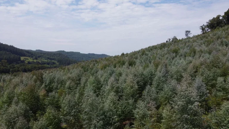 Imagem Terreno para Venda em Jaborá, Interior