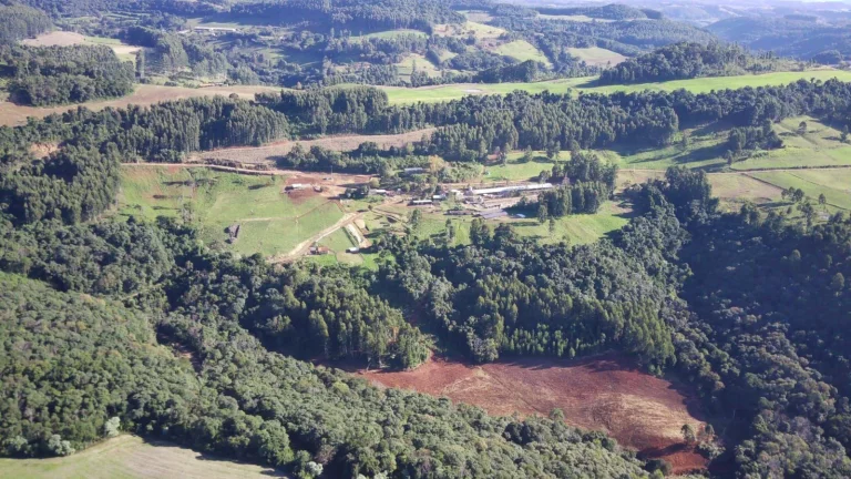 Foto do imóvel Fazenda para Venda em Concórdia, Interior em Sc-355