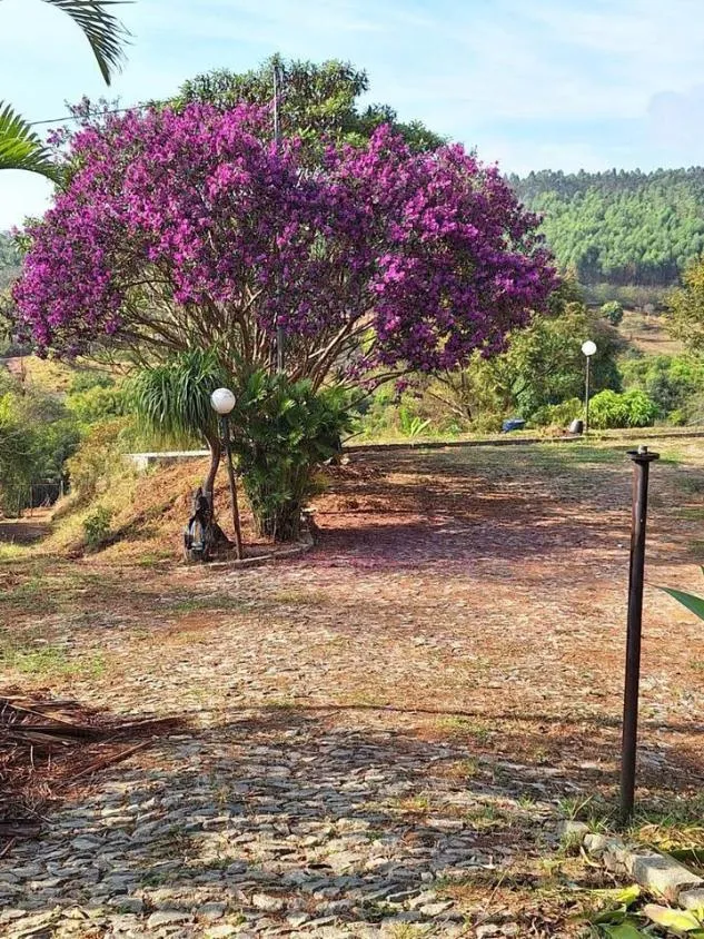 Imagem Otima chácara a venda em Itatiaiuçu/MG , Área com aproximadamente 2.000m²