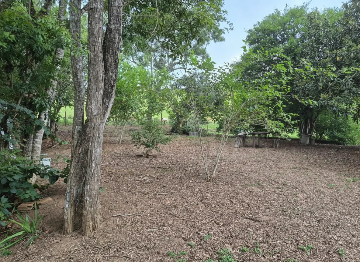 Imagem Chácara 24 m² à venda em Capituvas, Bandeira do Sul