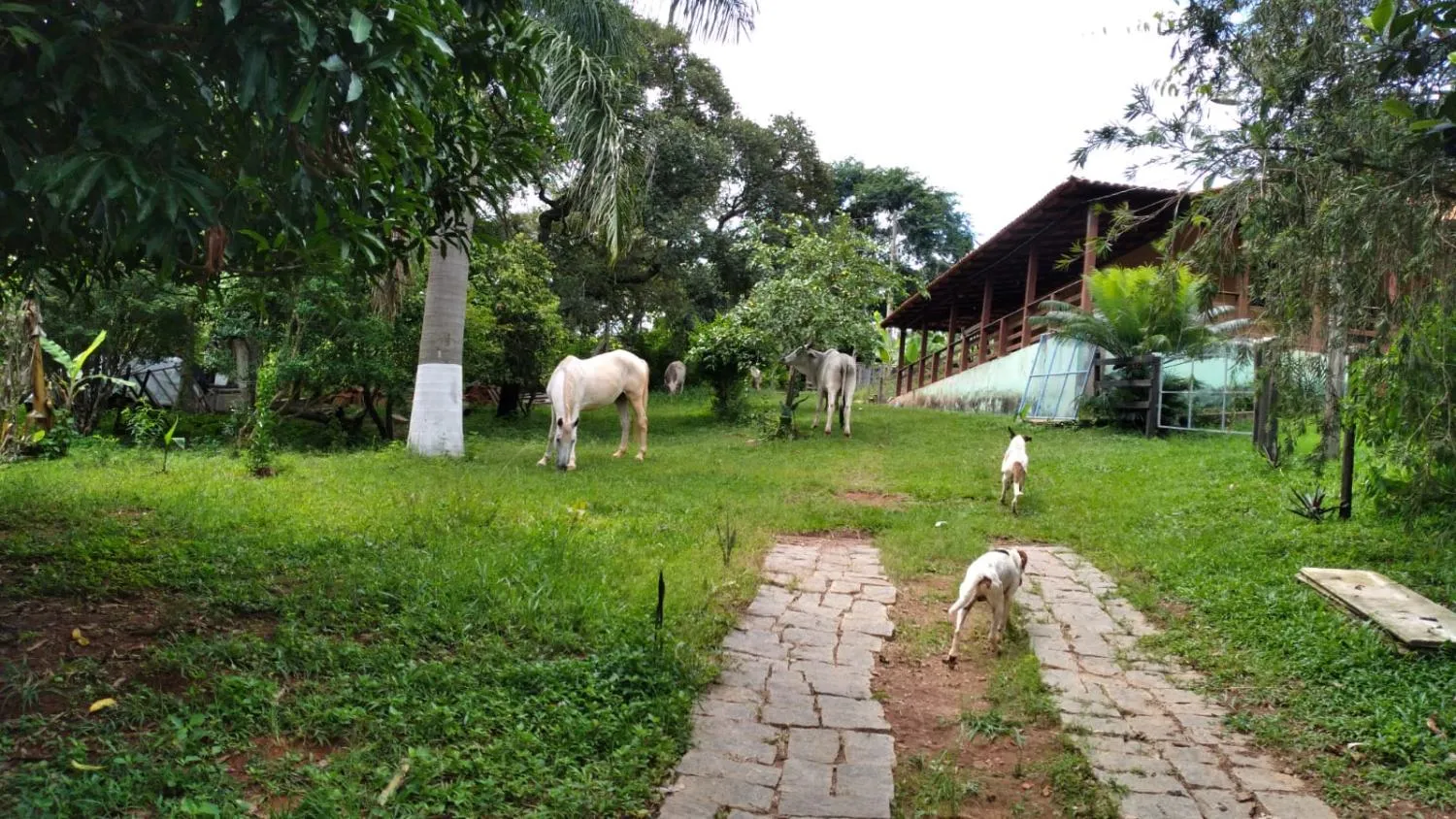 Imagem Vendo um ótimo sítio em Itaguara/Mg com 78.000 m² de terra,