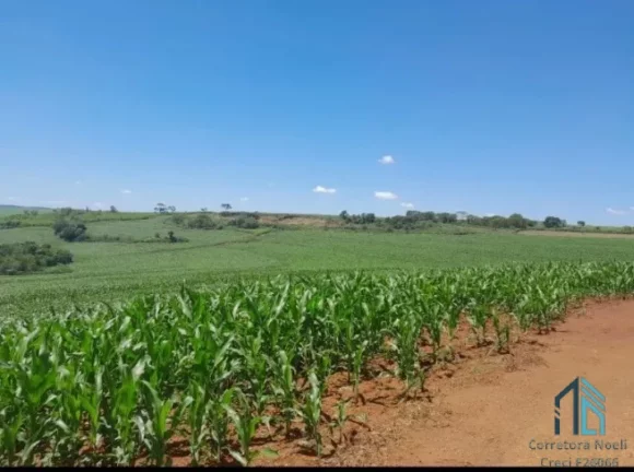 Imagem Sítio com 36 Alqueires, na Barranca do Rio Ivaí, localizado a 8 km da rodovia que liga engenheiro Beltrão a Maringá PR