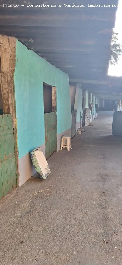 Imagem Haras para Locação em São Bernardo do Campo, Balneária