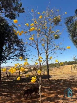 Imagem Sítio com área verde e pomar, 14 alqueires, arrendado que planta soja, em Vianópolis Goiânia - GO