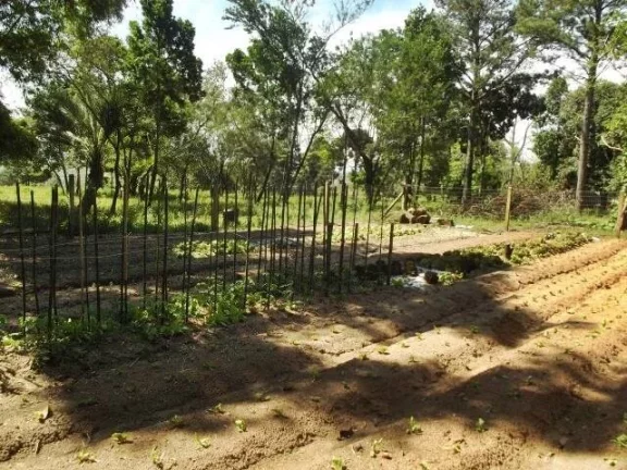Imagem Excelente área de 11.7 Ha, linda vista, açudes, zona nobre de Águas Claras