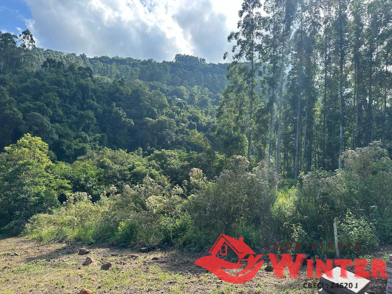 Imagem Área com 2162 m2 em São Vendelino