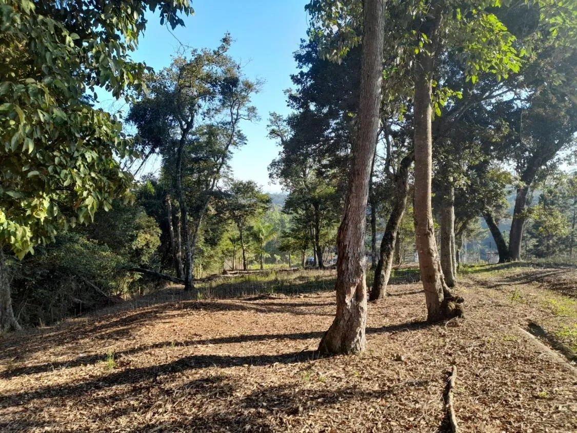 Imagem CHÁCARA EM CONDOMÍNIO - BAIRRO DA RESSACA - IBIUNA