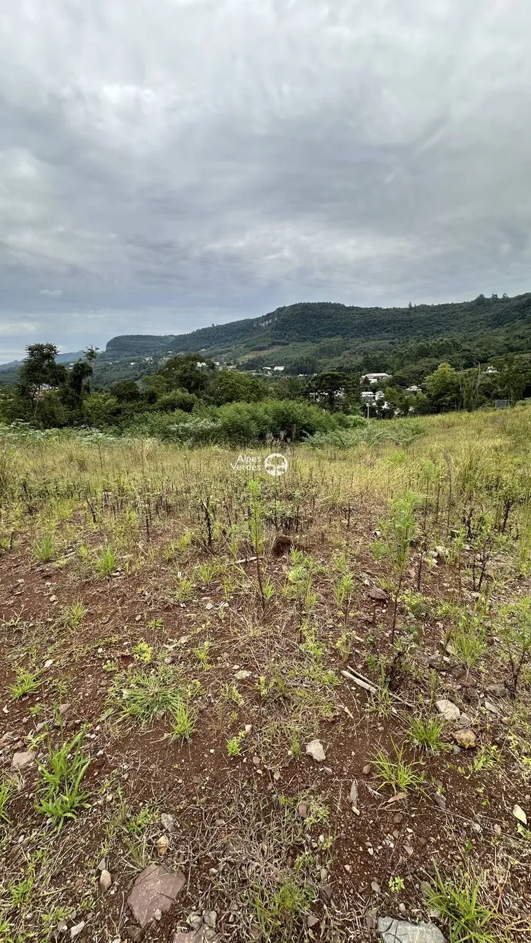 Imagem Terreno à Venda em Várzea Grande, Gramado - RS