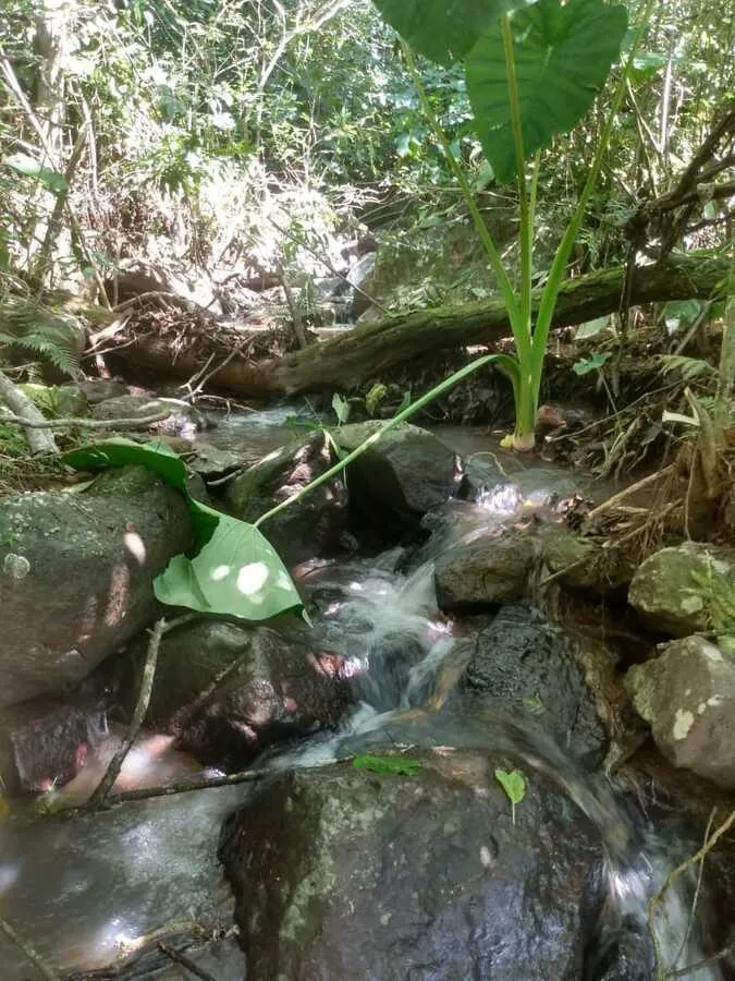 Imagem Chácara para venda, bairro Voluntário Baixo em Igrejinha/RS.
