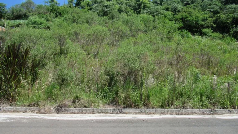Imagem Terreno para Venda em Concórdia, Primavera