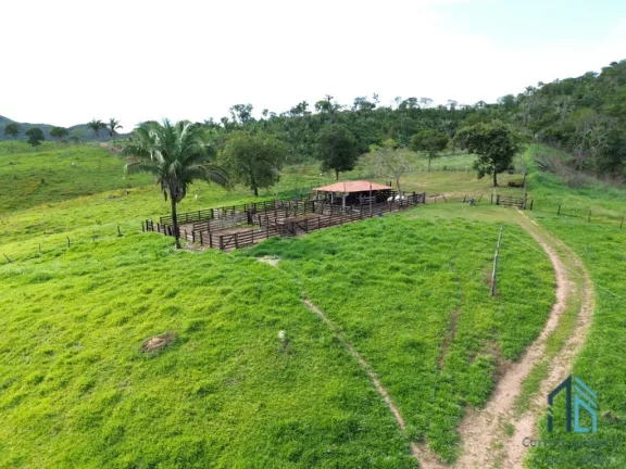Imagem Fazenda localizada em Minaçu - GO a 70km da cidade de Goiânia - GO, com fácil acesso de carro.