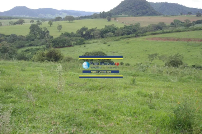 Imagem Fazenda 40 alqueires com estrutura, casa, água, energia, altitude para plantar café e gado, cidade Santo Antônio da Alegria - SP