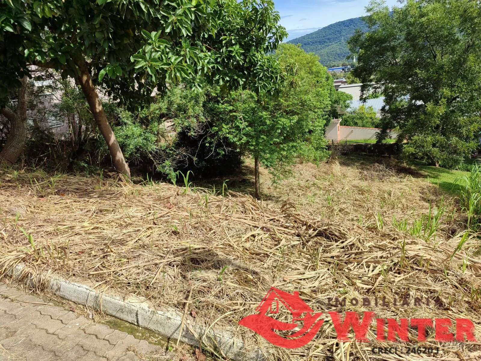 Imagem Dois terrenos com 744,00m² no bairro Matiel, Feliz.