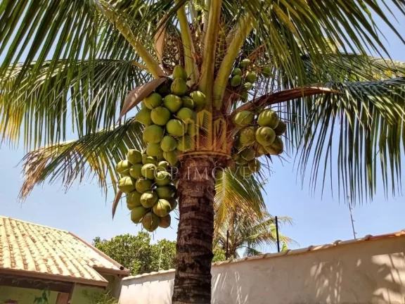 Imagem Linda Cahacara Granja Bela Vista Taubaté