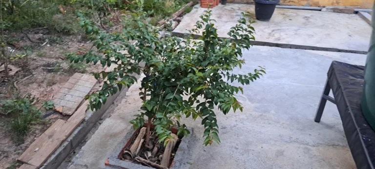 Imagem Casa com dois dormitórios no Parque Residencial Potiguara em Itu SP