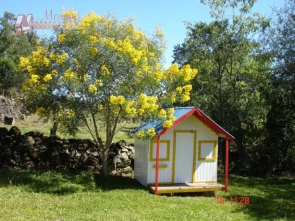 Imagem Sítio Rural à venda em Nova Petrópolis
