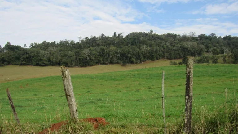 Imagem Área Agrícola para Venda em Concórdia, Rural