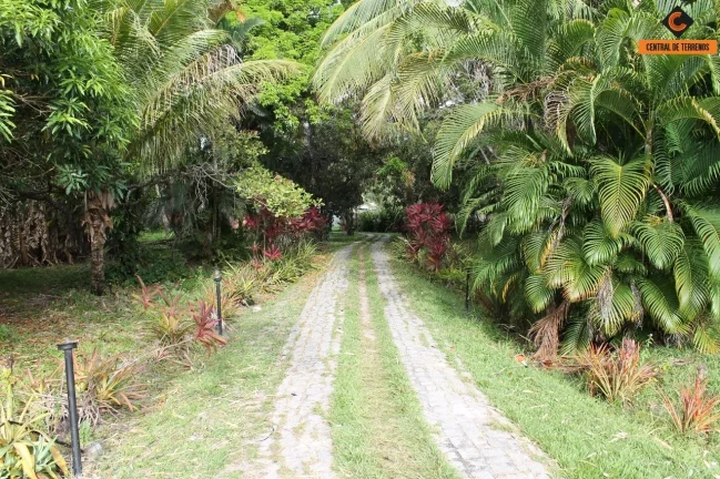 Imagem TERRENO EM CAMAÇARI