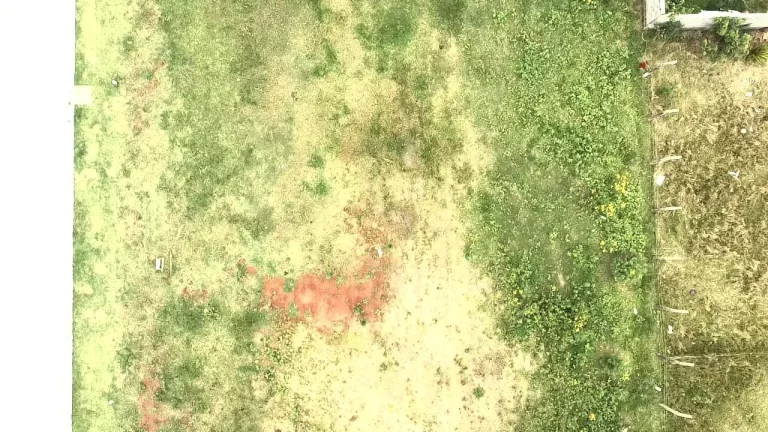 Imagem Terreno em Areias de Palhocinha, Garopaba-SC: Pronto para Construir sua Casa Ideal!