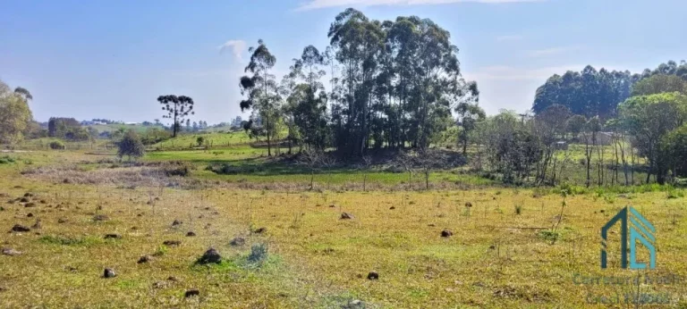 Imagem Chácara a venda 12.1 hectares, 02 casas e barracão, na água amarela em Chapecó - SC