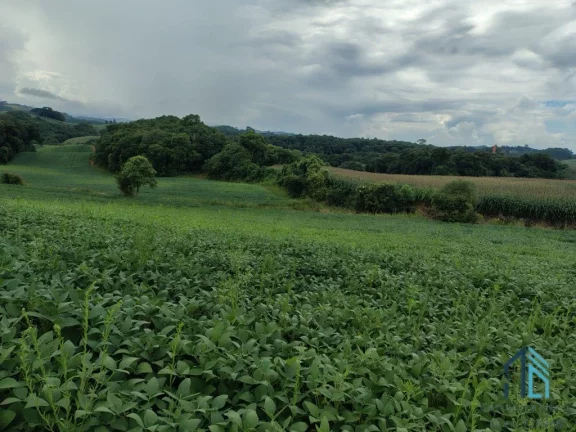 Imagem Terreno com 9,2 Alqueires, área verde ideal para plantio ou construção, em Campo Largo PR