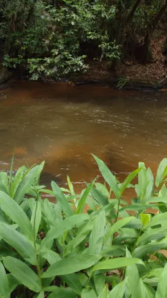 Imagem Terreno à Venda, 1.000 m² em Centro - Atibaia