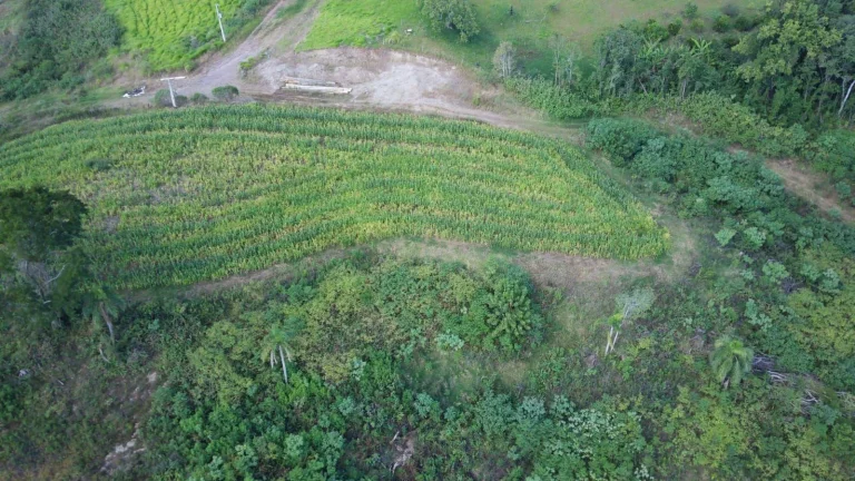Imagem Terreno para Venda em Concórdia, Arvoredo