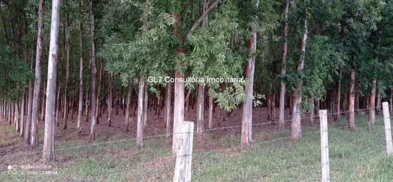 Imagem OPORTUNIDADE AREA EM ELIAS FAUSTO SP