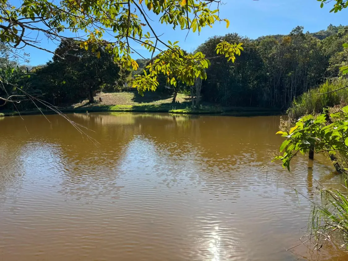 Imagem EXCLUSIVIDADE | FAZENDA a venda - CLÁUDIO/MG -90 hectares de área total