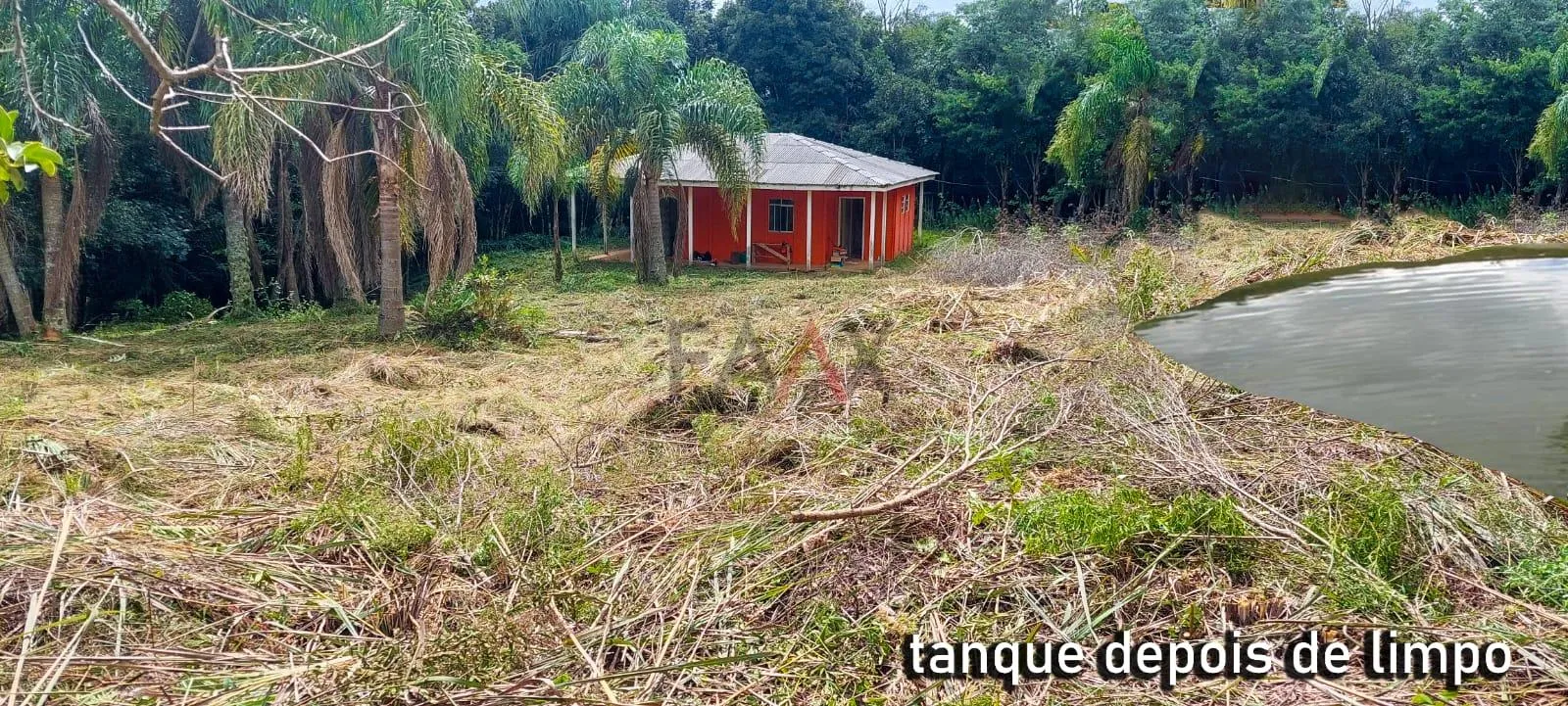 Imagem Chácara com 2 dormitórios à venda,60500.00 m , Guabiroba, GUARAPUAVA - PR