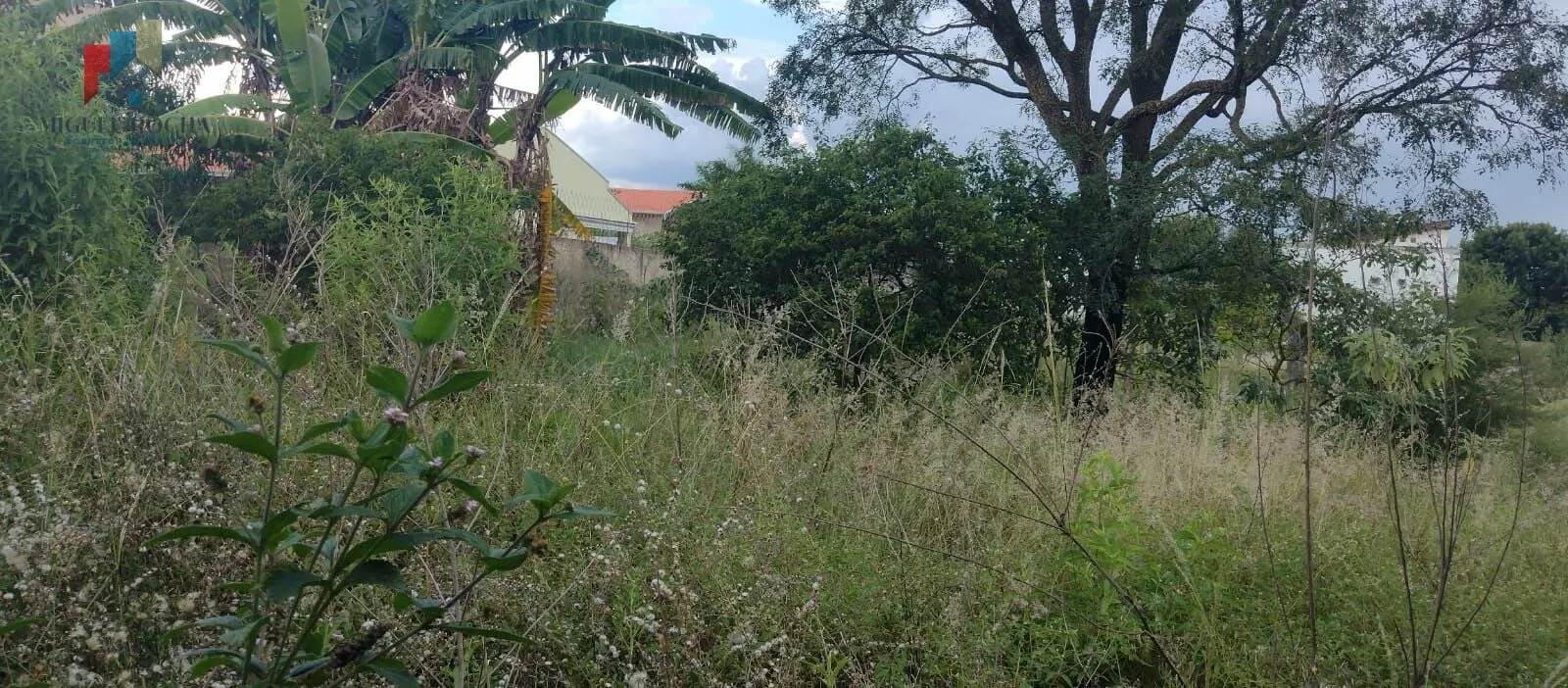 Imagem Chácara à venda no bairro Bairro Bela Vista - Tatuí/SP