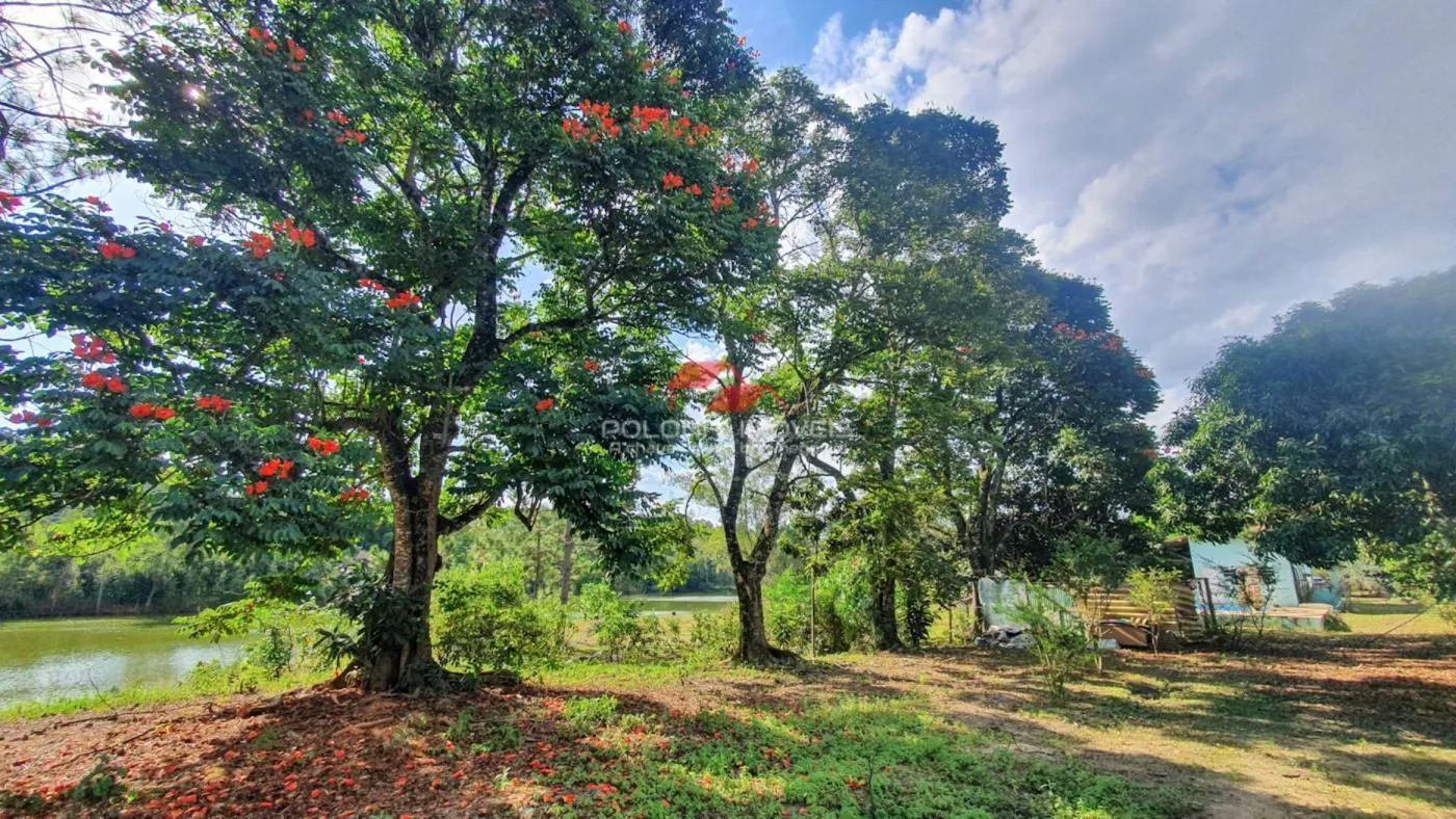 Imagem CHÁCARA -BAIRRO CANEDOS - PIRACAIA