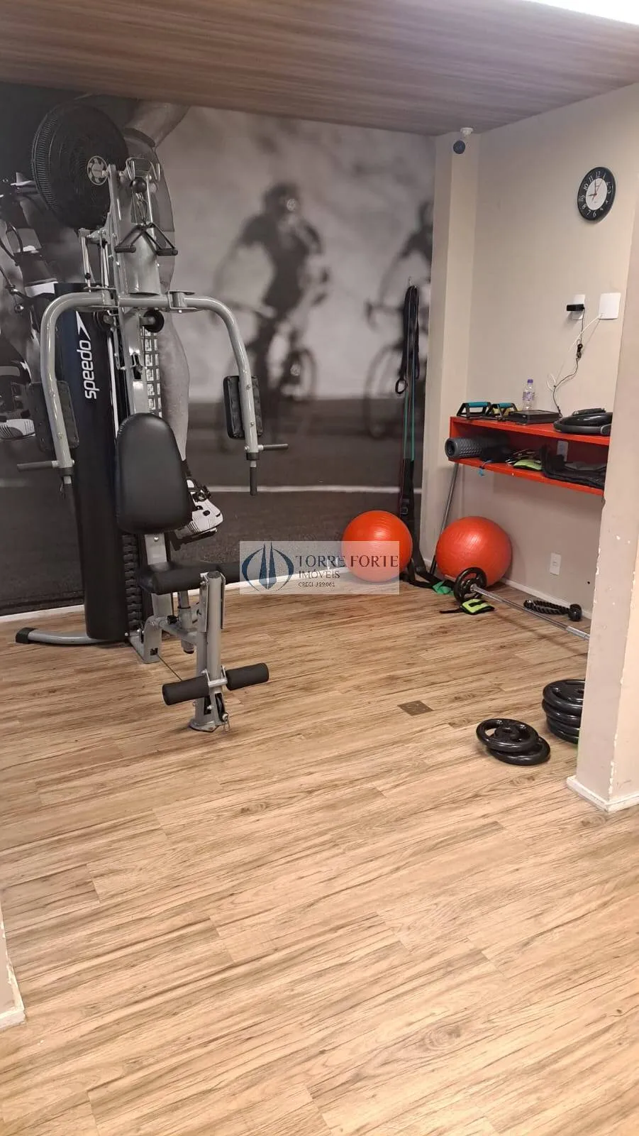 Imagem Apartamento com 2 dormitorios sem vaga , Varanda na Vila Ema.