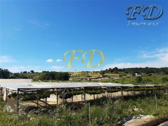 Imagem EXCELENTE SÍTIO EMATIBAIA-SP Características: 3,5 alqueires de área total (aprox. 75.000,00 m²) ...