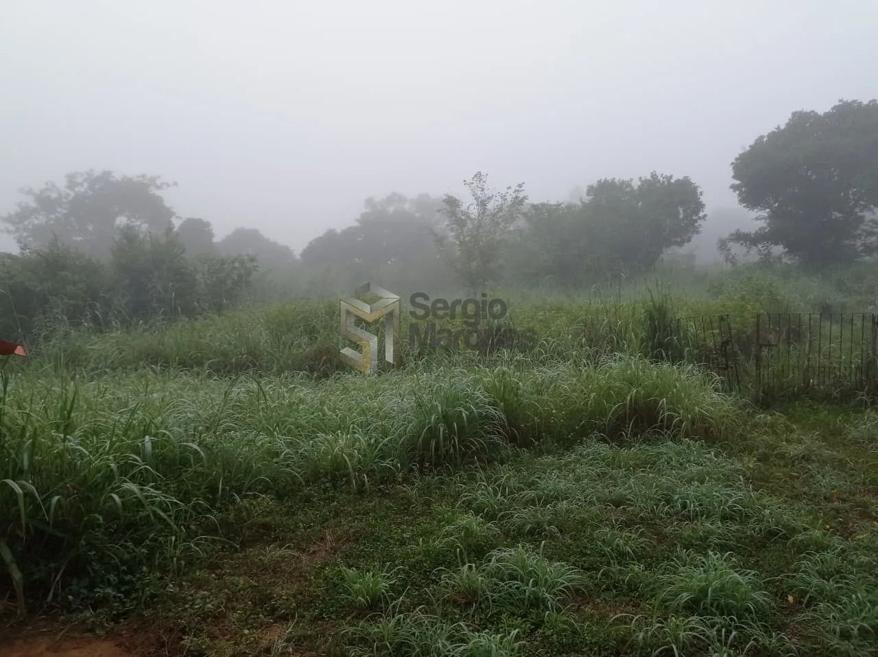 Imagem Fazenda à venda - 700000m² - Floriano-PI
