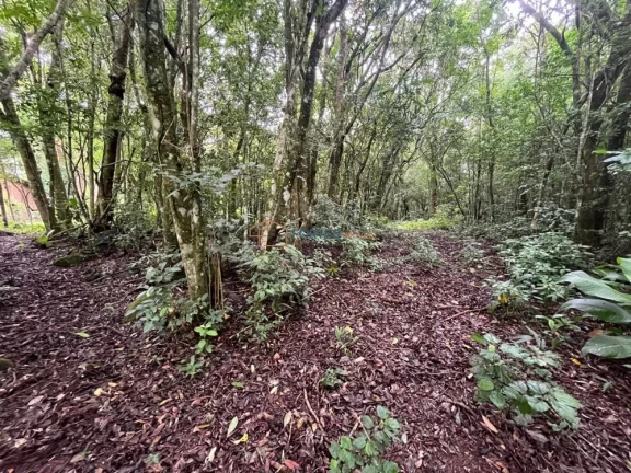 Imagem Hectares no Sul, Area de terra no RS, Hectare em maquine, RS