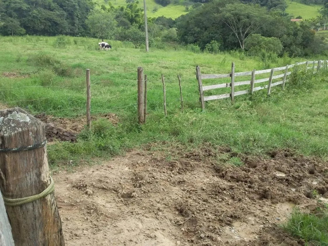 Imagem Terreno Espetacular à Venda em Carmópolis de Minas /MG 42 hectares de terra