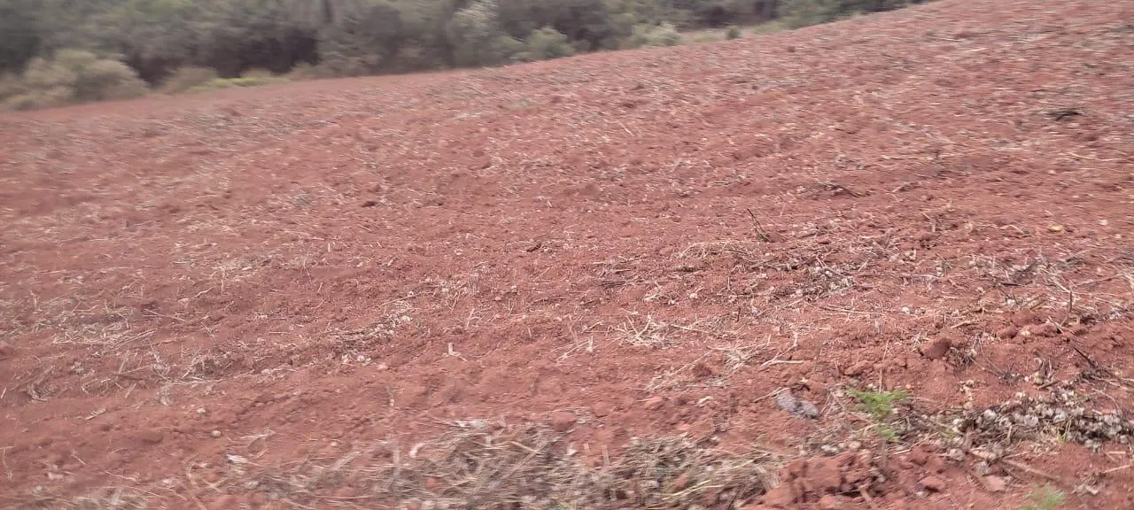 Imagem FAZENDA À VENDA - CRUCILÂNDIA (MG) 120 hectares de área total