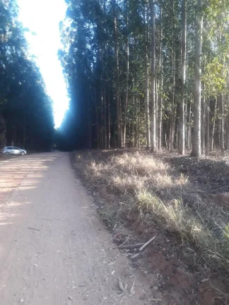 Imagem Área á venda em São Pedro, Bairro Tanquã, com 2 alqueires e 18.000m² - Atual.07-01-26