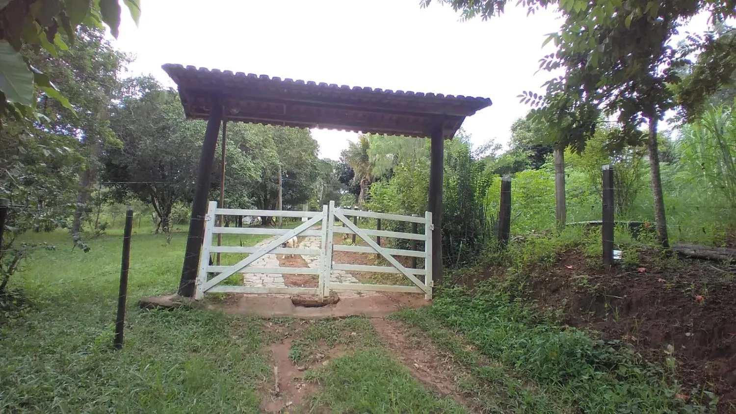 Imagem Vendo um ótimo sítio em Itaguara/Mg com 78.000 m² de terra,