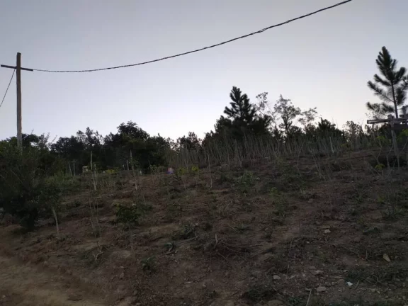 Imagem Chácara em Piedade